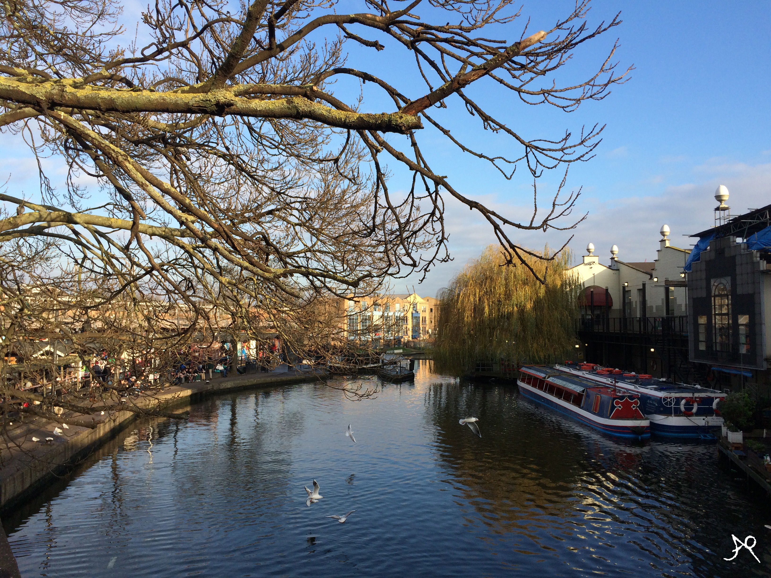 Regent's Canal view from the bridge