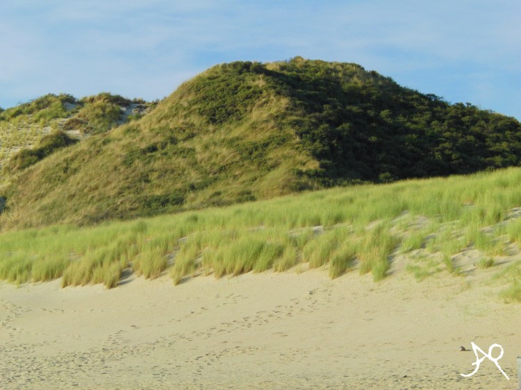 la susi holland 887x