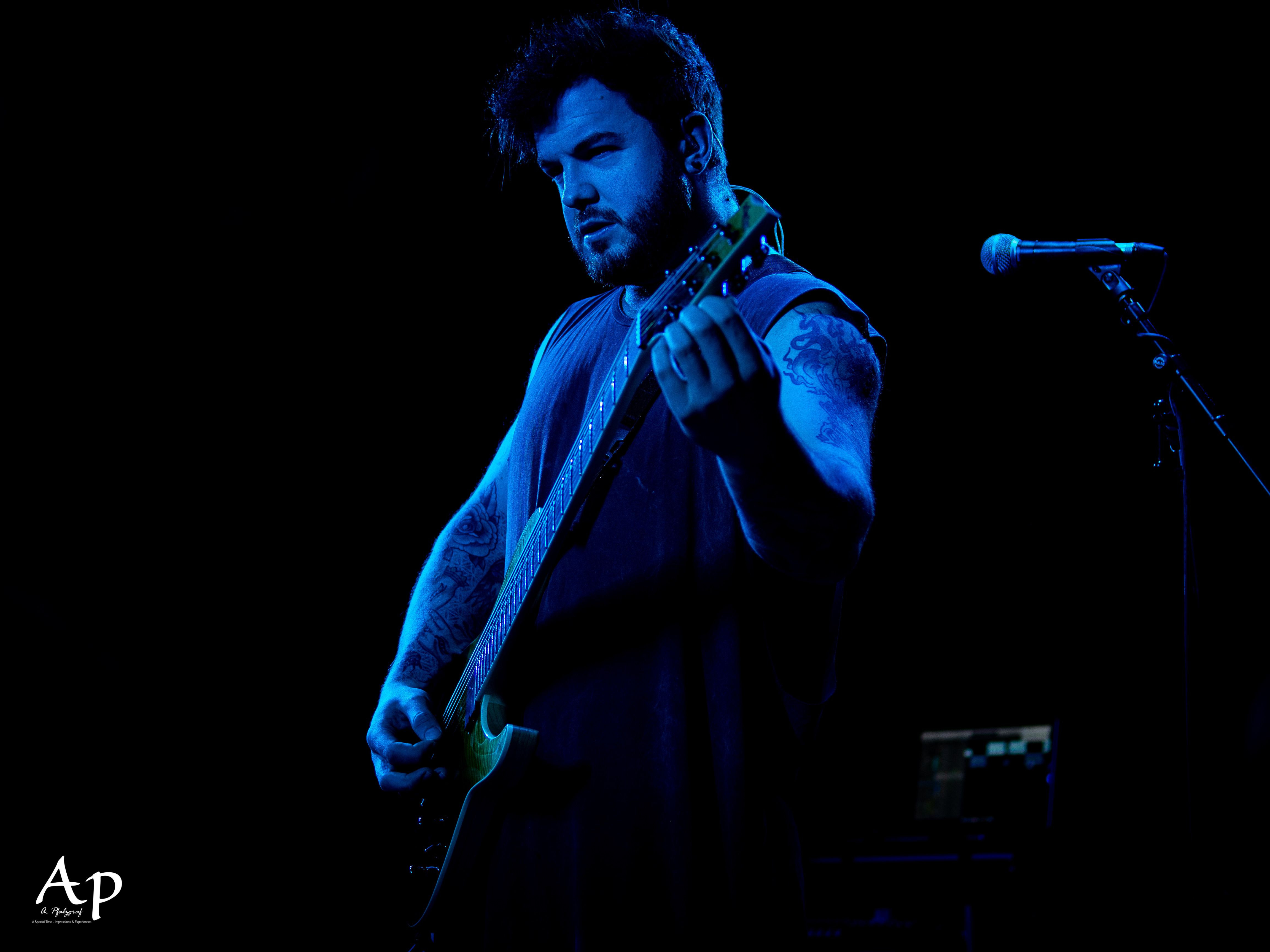 Our Hollow, Our Home