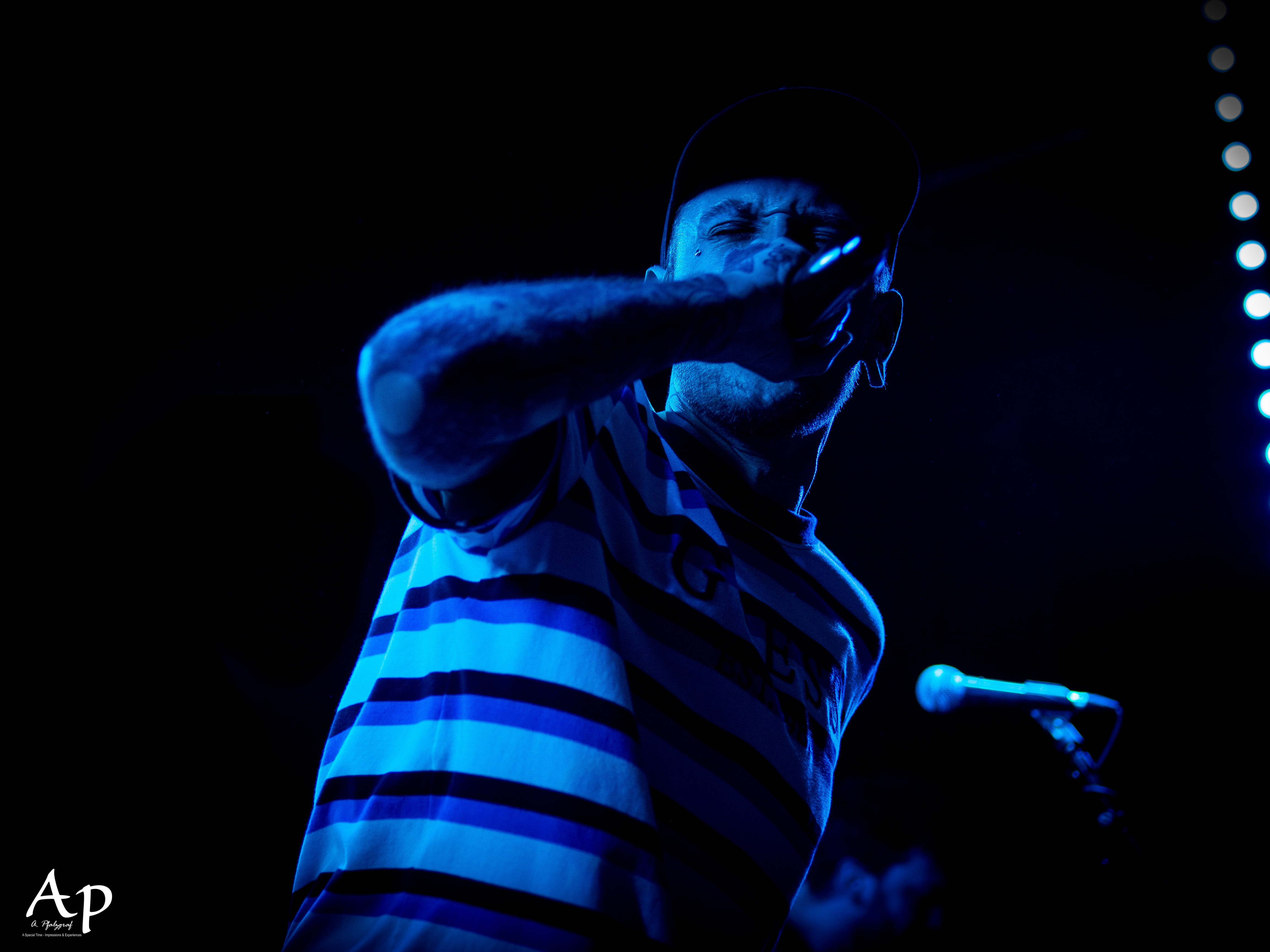 Our Hollow, Our Home