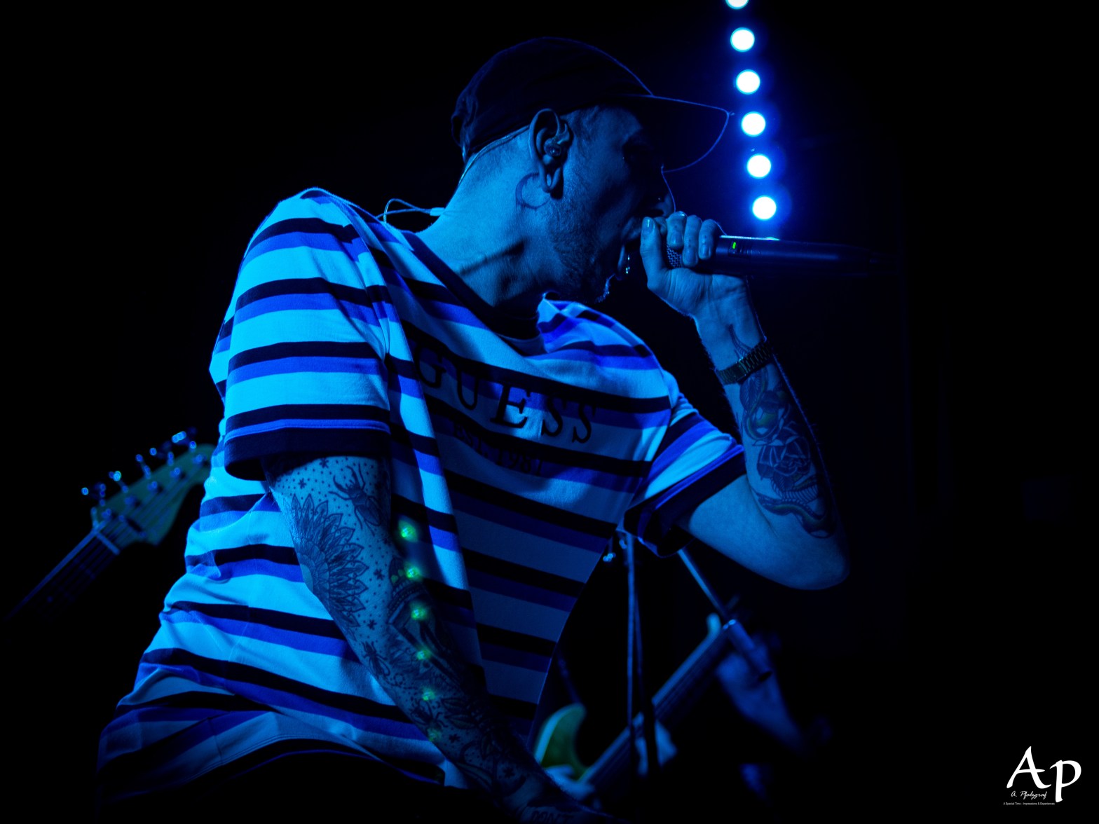 Our Hollow, Our Home