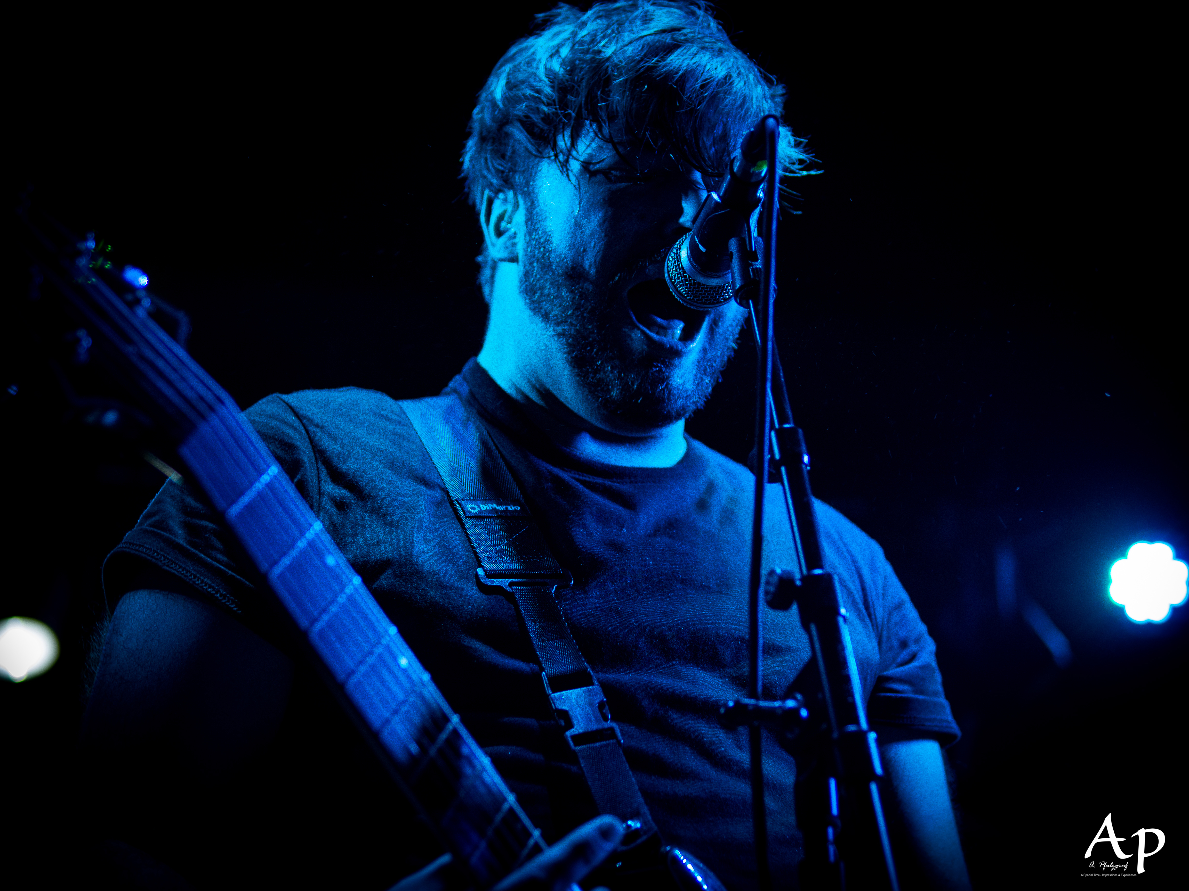 Our Hollow, Our Home