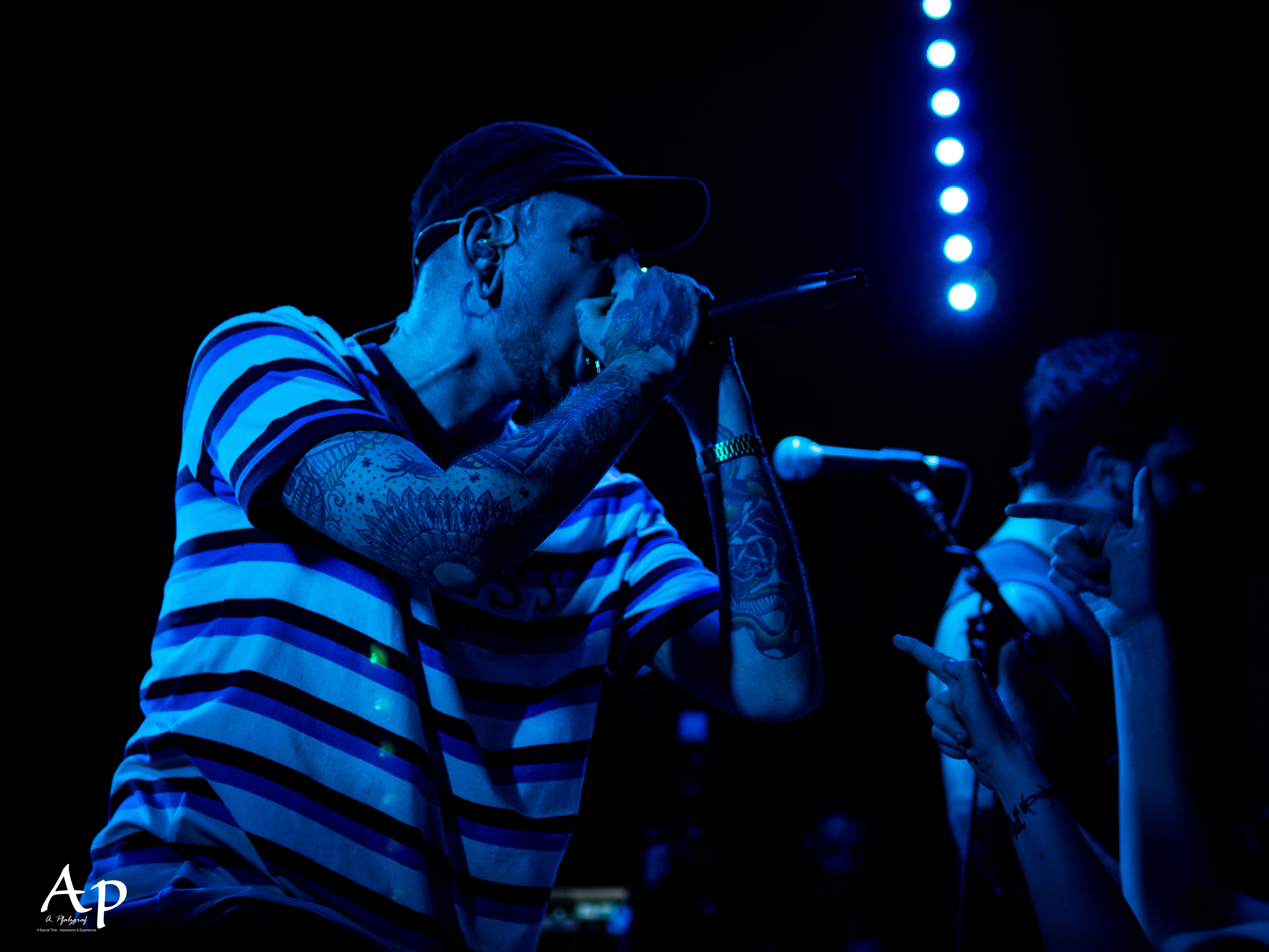 Our Hollow, Our Home