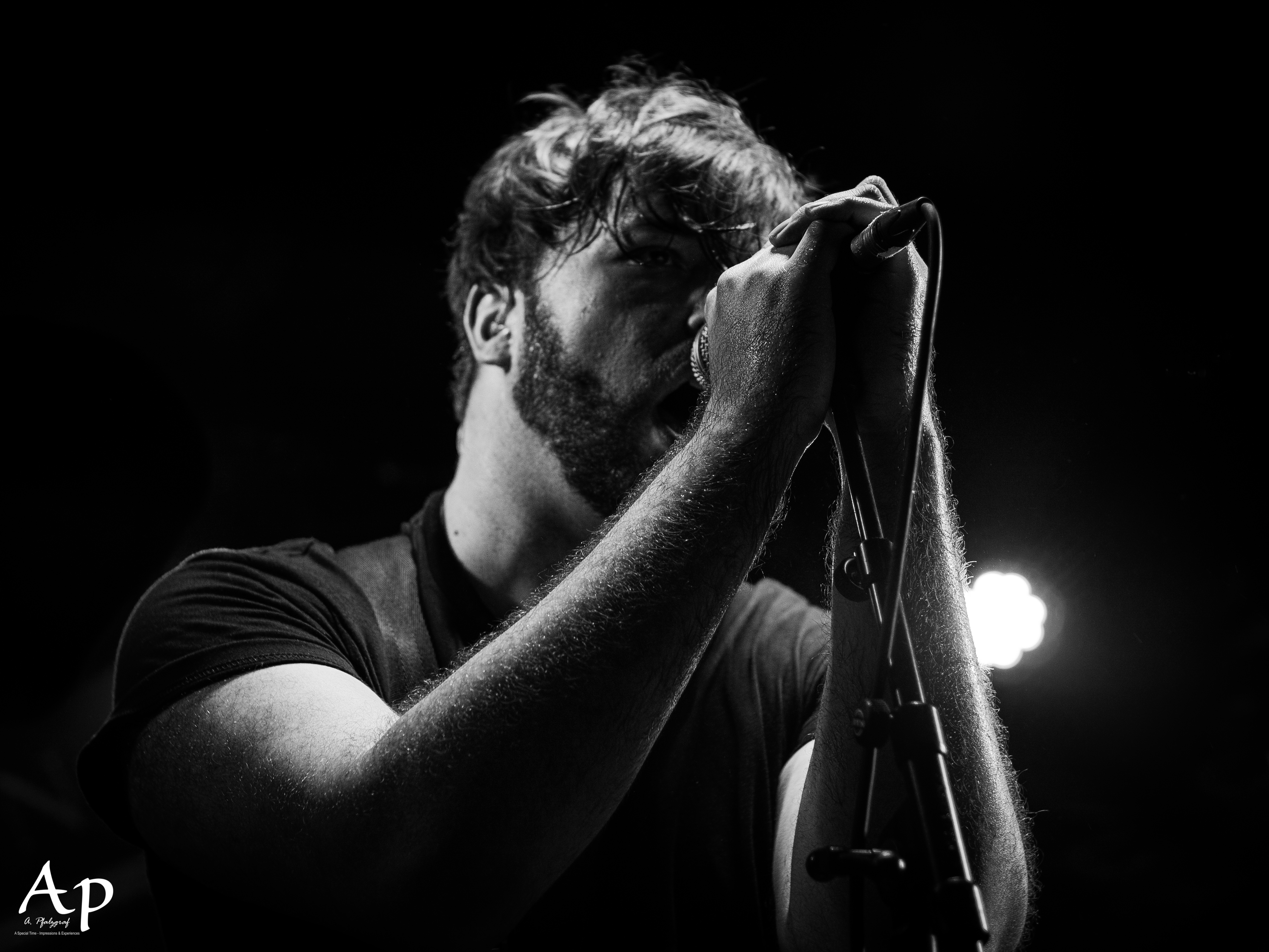 Our Hollow, Our Home