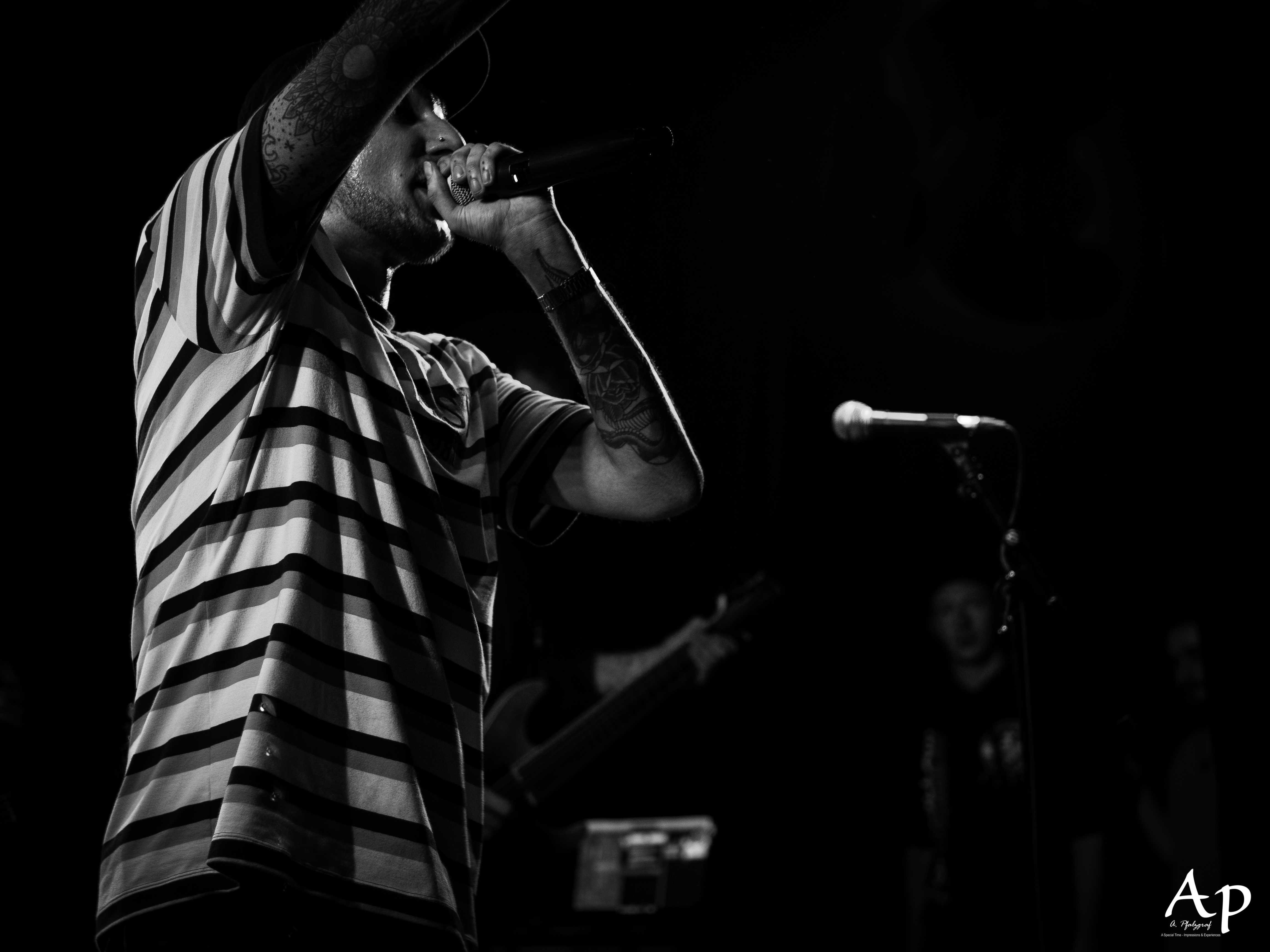 Our Hollow, Our Home